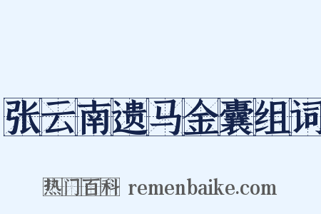 张云南遗马金囊组词是什么意思的图片